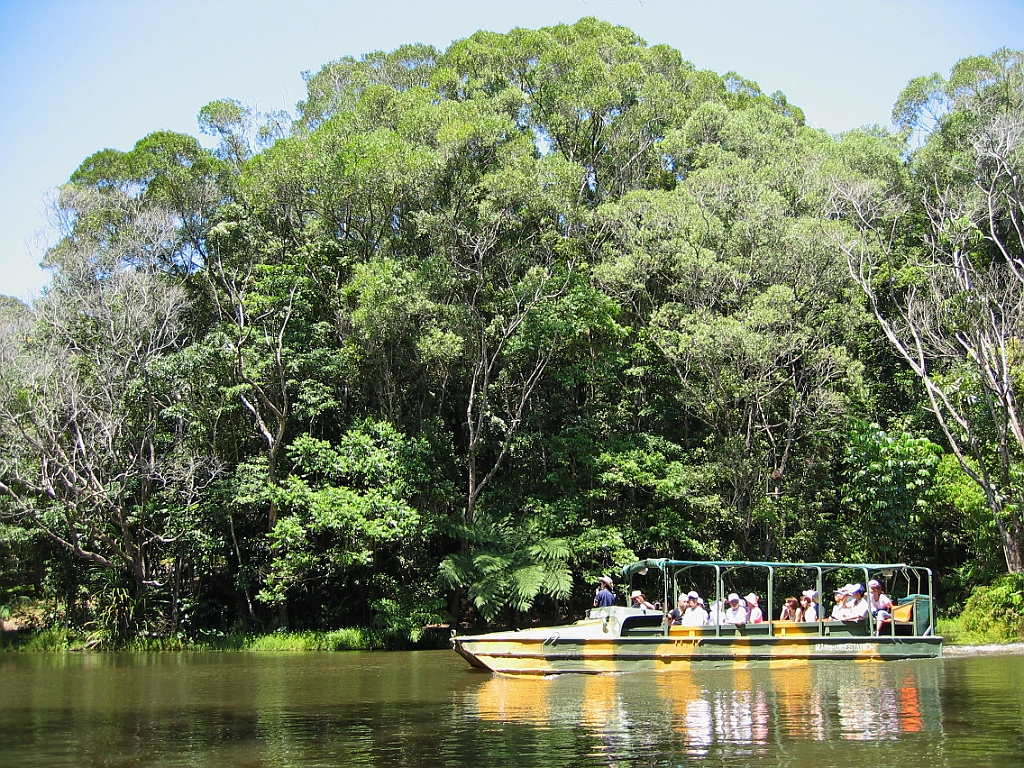 194 Rainforestation.jpg